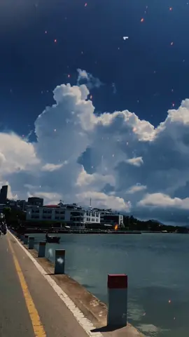 Cho mình xin câu trả lời của bạn, nếu không nổi loạn, không chia sẻ, không nhậu nhẹt, bạn sẽ làm gì lúc suy sụp, buồn tận? #nhacsuy #amnhacvacamxuc #viral 