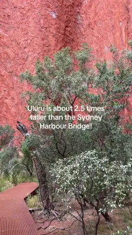 You can’t grasp the height of Uluru until you see it in person #NorthernTerritory #UluruViews #uluru 