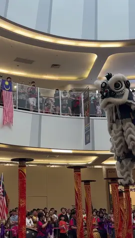 🇲🇾 2025 第三屆  YB張念群杯 馬新高樁獅王爭霸賽  🇲🇾 2025 YB Teo Nie Ching Cup Malaysia & Singapore Lion Dance Championship - Johor Bahru 🇲🇾 LQSY 龍情獅義體育會 #malaysia #liondance #barongsai #mualan #tariansinga 