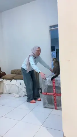 Akhirnyaaa!! yang udah pernah pakee toilet inii gimanaa review jujur kaliaaaaan #catsoftiktok #catslovers #cacabrotbrot #fyppppppppppppppppppppppp #unboxing 