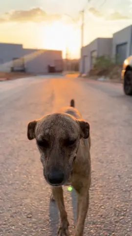 Ela sorrindo 🤏🏻🥹  #fy #cachorro #deus #ceu #viral 