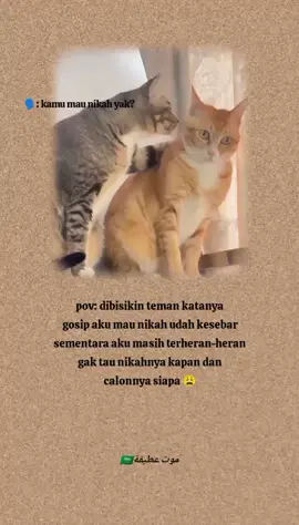 ada ada saja mulut tetangga 😮‍💨 #quotesislami #atifahkhumairoh 