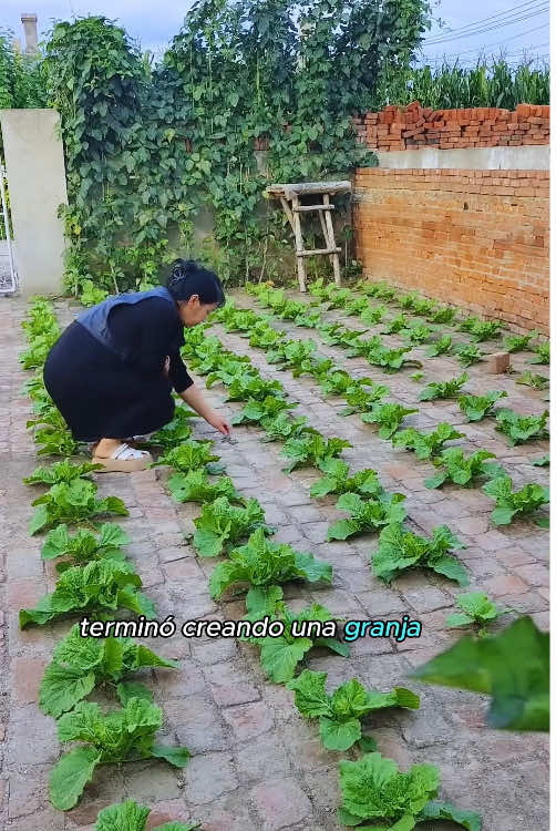 La casa no tiene jardín pero aún así crecen muchas verduras#tiktok #DidYouKnow #usa #amazing 