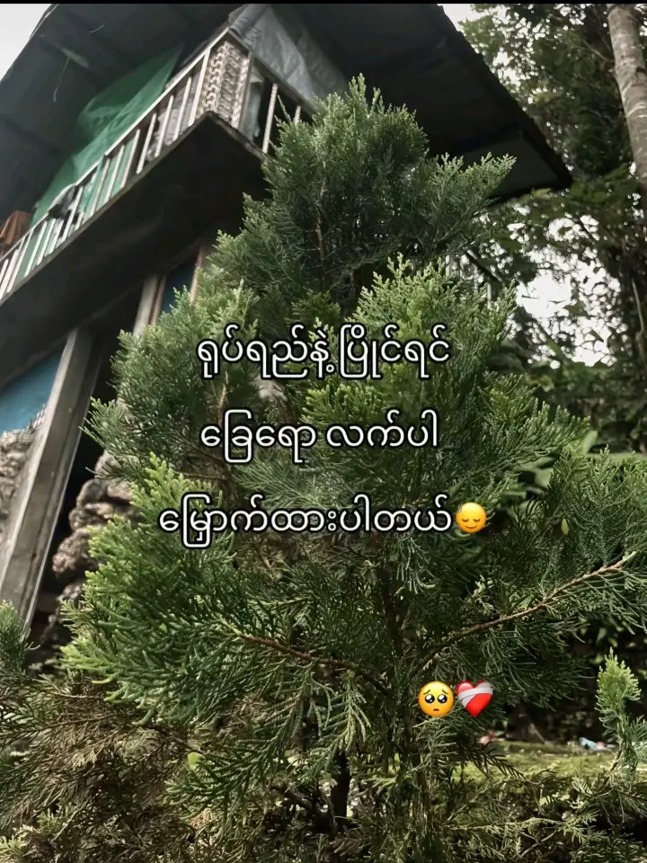 ခြေရော လက်ပါမြှောက်ထားပါတယ်