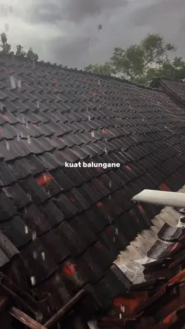 Kudu iso kuat balungane #CapCut #egowongtuo #gomusikindo #pusmashakiraofficial #lirik 