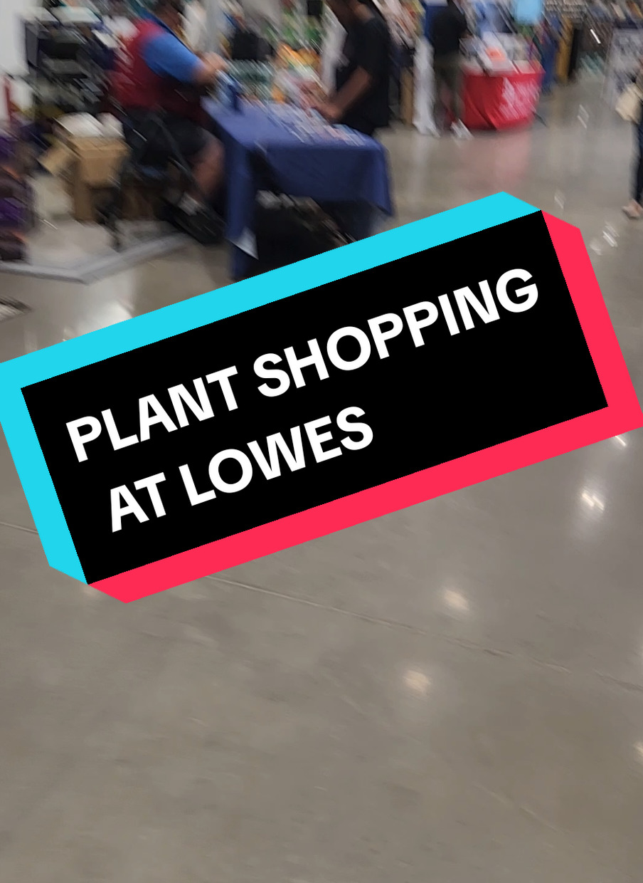 Plant Shopping at Lowes #lowes #plantshopping #houseplants #PlantTok #plantsoftiktok 