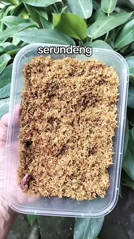 berkah barokah