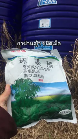 #ผู้หญิงทําสวน #ขึ้นฟีดเถอะ #กำจัดพืช ##ทําสวนวนไป 