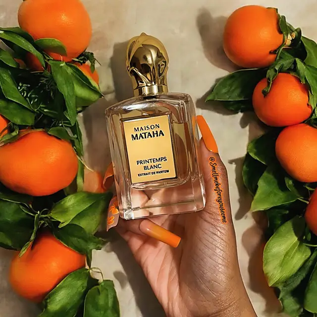 New Addition ✨ This fragrance is worth all the hype and I understand why it was sold out. It smells lovely. Citrusy white florals, creamy, sweet, and powdery it’s an absolutely gorgeous scent. Another fragrance knocked off of my blind buy wishlist. Lol. Have you smelled this fragrance? ✨🍨🍊🫖🍊🍨✨ Printemps Blanc 🍊 @Maison Mataha   Top notes are Orange Blossom and Grapefruit; middle notes are Jasmine Sambac and White Tea; base notes are Vanilla and Sandalwood #fragrancetiktok #perfumetiktok #nichefragrance #fyp #smellmebeforeyouseeme 