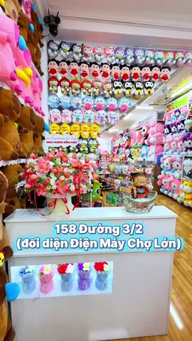 Khai trương địa chỉ mới 😍  #gaubong #thunhoibong #gaubongcantho #cantho #xuhuong 