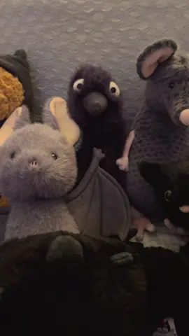 Edgar the crow 🐦‍⬛ #jellycat #halloween #jellycats #spookyseason #jellycatcollection 