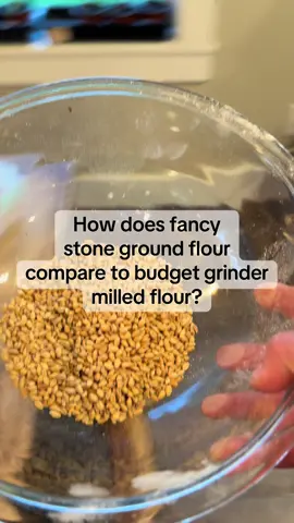 I’ve always wanted to do a side by side of the fancy flour and the budget flour. Here is a closer look. #homemadeflour #diyflour #homemilledflour #sourdough #homemadesourdough #homemilledflourrecipe #grainmill #multipurposegrinder #graingrinder 