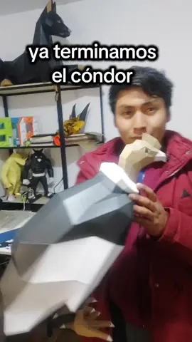 cóndor andino  #condor  #bolivia  #peru🇵🇪  #andino  #indigenas 