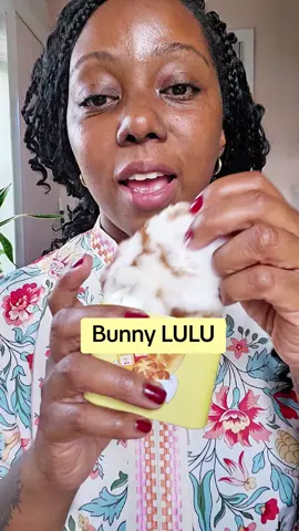 Latte Lu lu is back! #bunnylulu 