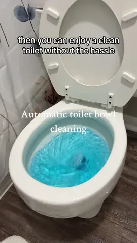 Keeping my toilet bowl fresh and clean without lifting a finger has been life changing 😍😍 Absolutely obsessed with my Active toilet tablets! #active #activeenzymes #toiletbowlcleaner 