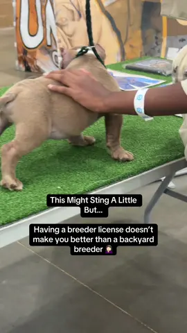 This might sting a little but… Adopt Never Shop Dogs have to bred over and over again and force to have their ears mutilated. This is what you support when you buy a dog. We can make a change and never buy choose adoption  instead. #adoptdontshop #breeder #dogsoftiktok #creatorsearchinsights 
