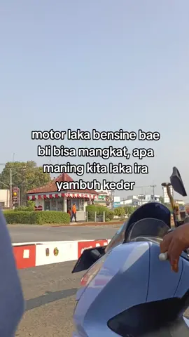 #fyppppppppppppppppppppppp #indramayupride🏴‍☠️ #indramayu_tiktokers #tarling_indramayu_cirebon #crbnpride🏴‍☠️ 