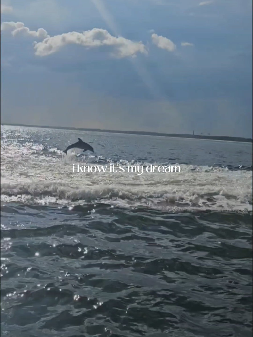 when i say the dolphins were out to play, they showed out today - more than i have ever seen them. on the pier and the sound. it was so magical! #happybirthdaytome #dolphins #florida #magical #boatride 