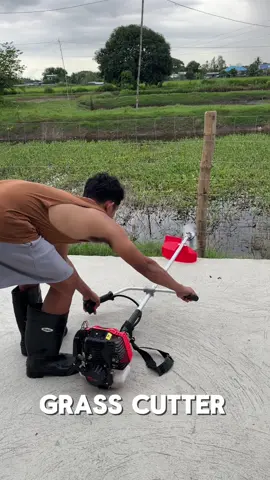 #grasscutter 
