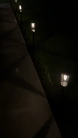 Outdoor pathway solar lights #homedecor #homeinspo #solar #solarlights #pathway 