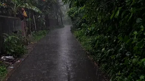আমাদের গ্ৰামের রাস্তা!! 🫠🌧️ . . . #firoz_shariar_rashik_21 #nasheed #naturelover 