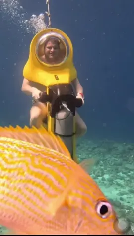Let’s ride 😎🤿🐠 🛵 #Aquafari #curacao #ocean #vacationmode #vroomvroom 