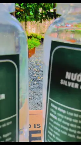 Lấy lại vẻ sáng bóng như mới cho trang sức bạc chỉ sau vài phút – với nước rửa chuyên dụng cao cấp 🍀 #tiktokshop #viral #nuocruatrangsucbac #tleejewelry #xh 