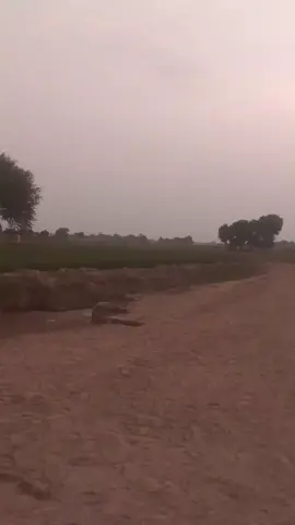 #viralvideo #foryou #tiktok #trandingvideo #maramundanailanhandaya #viral #viraltiktok #tiktok 