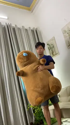 Gấu bông capybara #gaubongvv #xuhuong #gaubong #gaubongcapybara 
