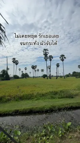 #แคปชั่น #คําคม #tstory23  