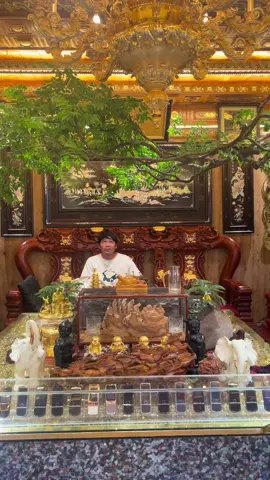 Chuyển cây cho 2 anh khách Thủ Đô Vip #muội_hồng #muoihong #bonsaiphongtra #xuhuongtiktok #ilovetiktok 