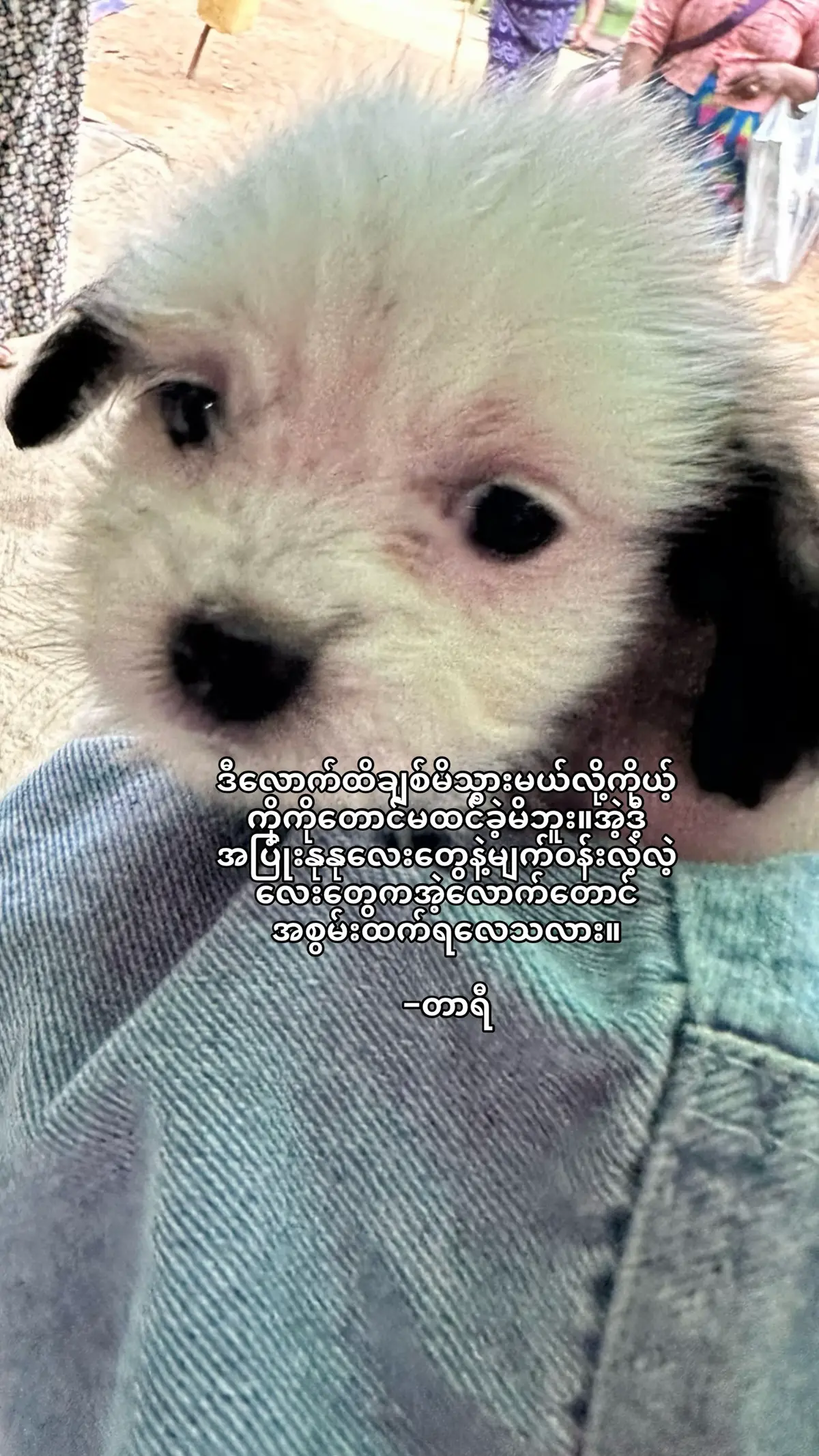 #fypppppppoopppppopppppppppppppppp #fyppppppppppppppppppppppp #fyppoppoopppppppppppppppppppppp #fyppoppoopppppppppppppppppppppp 