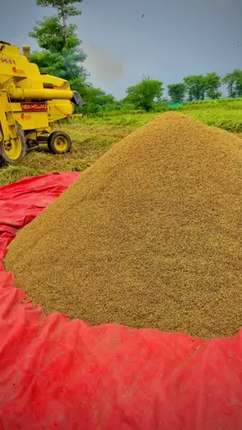 Harvestr lover ❤️‍🔥 #foryou #fyp #kisan #newholland8055 #پِنڈاں_آلے🥀👑 