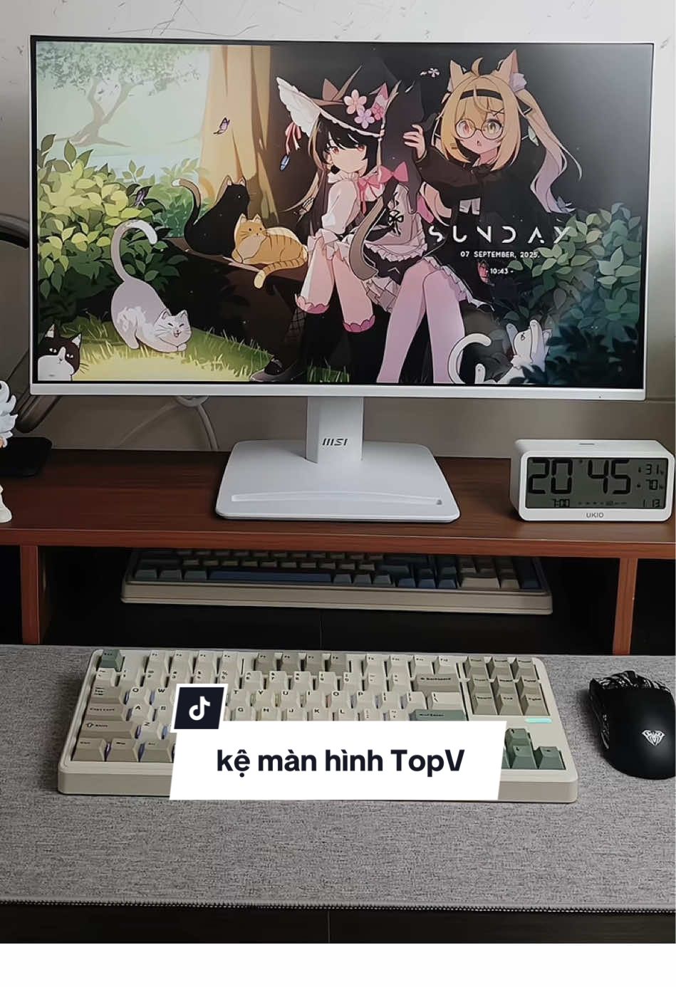 Kệ màn hình máy tính TopV  #kemanhinhmaytinh #kemaytinh #topv #setupgoclamviec #kedungmaytinh 