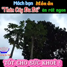 Có 1 Bộ Phận Trên Cây Đu Đủ Đực Là Bài Thuốc Hay & Ăn Rất Ngon Ít Ai Biết / Thân Cây Đu Đủ Xào Tỏi. #xuhuong #phuonganvat