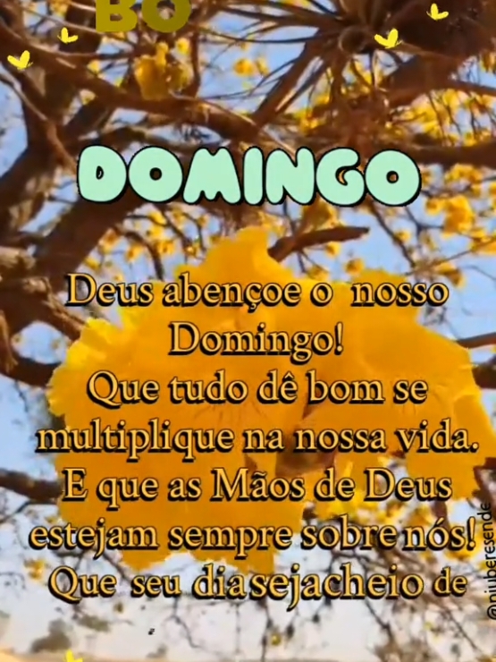 Feliz Domingo🇧🇷 💚💛💙 #bomdia #feliz #abençoado #domingo #domingou #Deussejaconosco #viral #foryoupage #brasil🇧🇷 