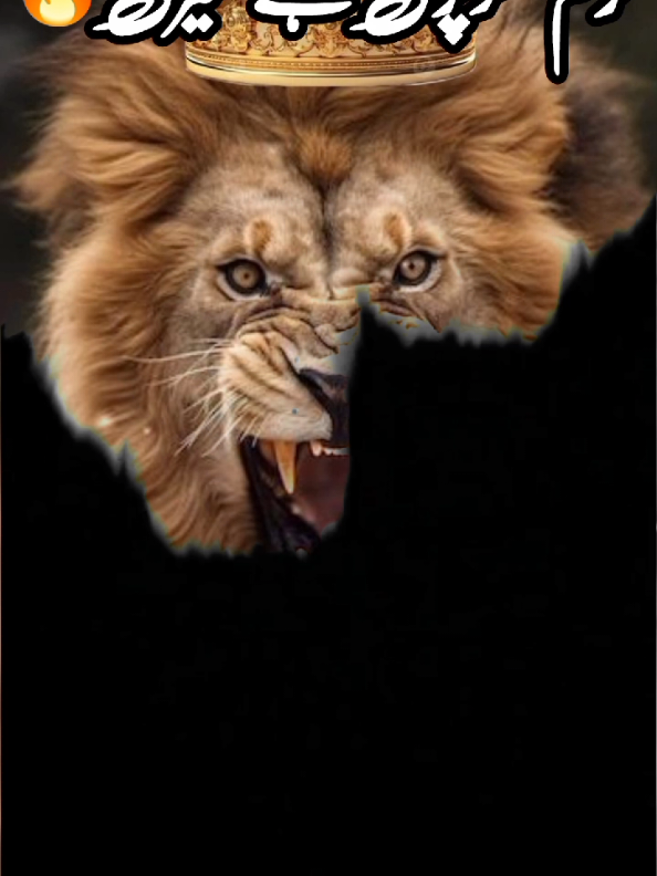 Hi dear TikTok please don't under views my videos #joker #video #lionking #jokerchallenge #foryou 