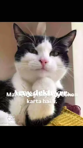 special Samaj khud kao