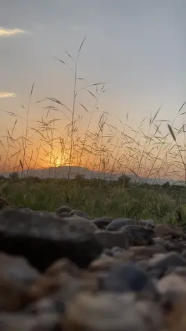 #ziaret e ashura #skoon❤️❤️❤️ #hayee #viral #tranding @Hussaini boy 