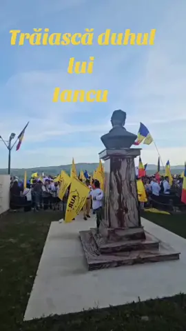 Avram Iancu suntem toți ✊ #avramiancu #tebea #patriotaur  #dreptatepentruromania #romania 