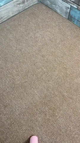 #celanaanak #celanamurah #celanapendek 