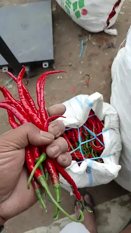 #bakullombok #bakulsayur #bakulan 