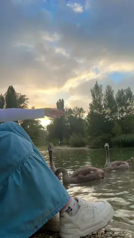 عطوني عبارات حلوه اكتبها لفيديو #صباح_الخير #اعادة_النشر🔃 #لايكات #متابعه_ولايك_واكسبلور_احبكم #tiktok 