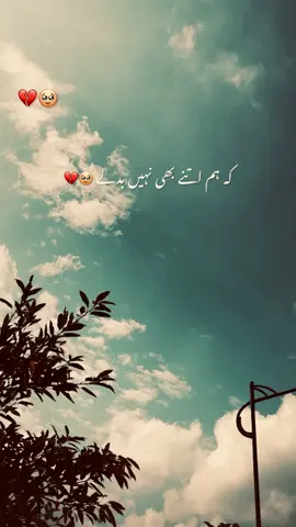 تو رابطے اچھے نہیں لگتے 🥹💔🥀#owncontent #eidmubarak #eidpoetry #poetryvideo #esthetics             