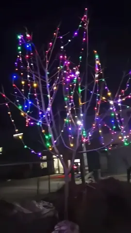 Cordão de Luz Natal Pisca Pisca 100 Led 9 m 8 #tiktok #tiktokshopbrasil #tiktokmademebuyit #fypシ゚ #goodthing 