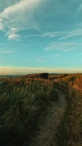 Djoker - Kapan Kau Kembali