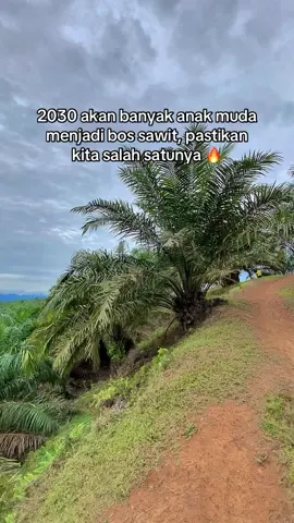 waktunya Gen Z tampil🤣 #fyp #foryou #petanimuda #petanisawit #petaniindonesia🇮🇩🇮🇩🇮🇩🌿🌿 