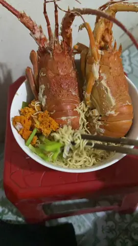 #xuhuongtiktok2025 ( chán cuộc đời lày quá lại phải ăm mỳ tôm)#ngeothichoivoingheo 