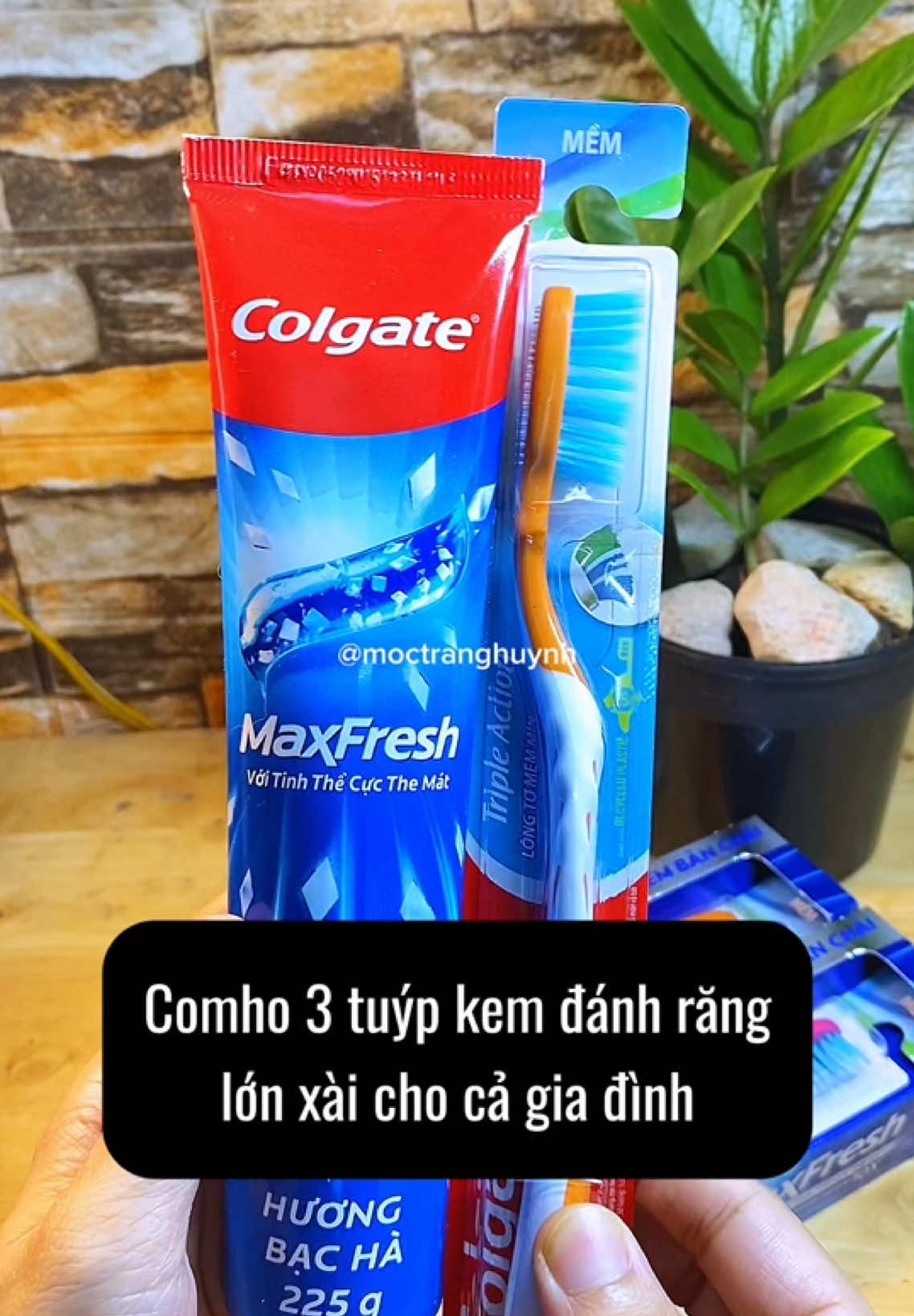Combo kem đánh răng xài chubg cho cả gia đình🌿#kemdanhrang #kđr #combo #colgate 