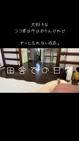 いろんな私のダイアリー📔 #おすすめにのりたい #blog #日常 #おすすめ #団地